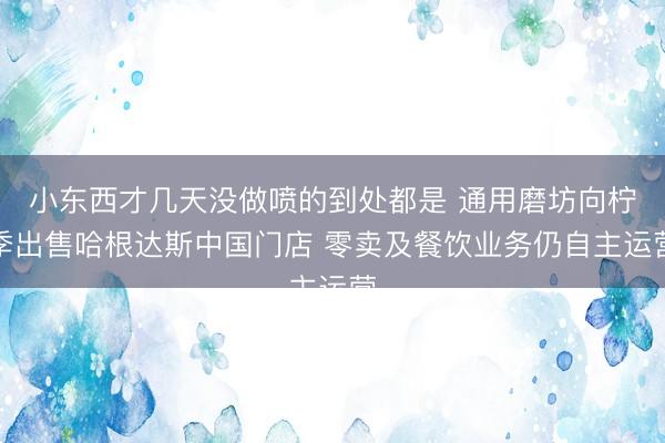 小东西才几天没做喷的到处都是 通用磨坊向柠季出售哈根达斯中国门店 零卖及餐饮业务仍自主运营