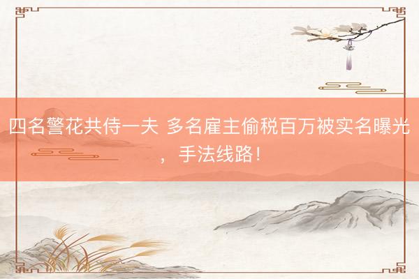 四名警花共侍一夫 多名雇主偷税百万被实名曝光，手法线路！