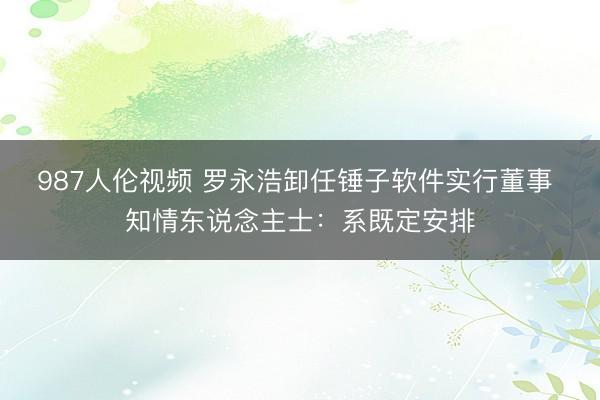 987人伦视频 罗永浩卸任锤子软件实行董事 知情东说念主士:系既定安排