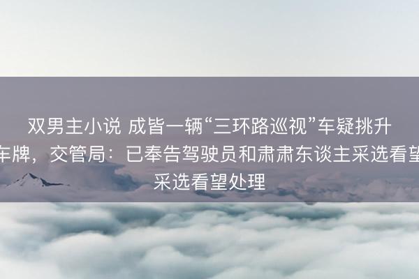双男主小说 成皆一辆“三环路巡视”车疑挑升遮拦车牌，交管局：已奉告驾驶员和肃肃东谈主采选看望处理