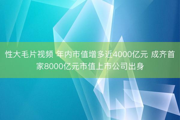 性大毛片视频 年内市值增多近4000亿元 成齐首家8000亿元市值上市公司出身