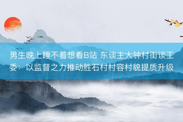 男生晚上睡不着想看B站 东谈主大钟村街谈工委：以监督之力推动胜石村村容村貌提质升级