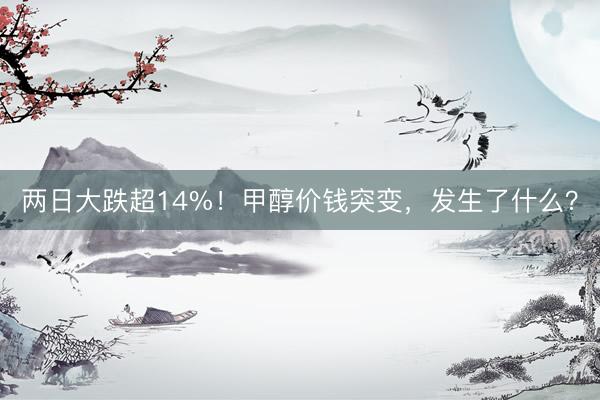 两日大跌超14%！甲醇价钱突变，发生了什么？